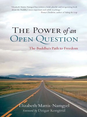 cover image of The Power of an Open Question